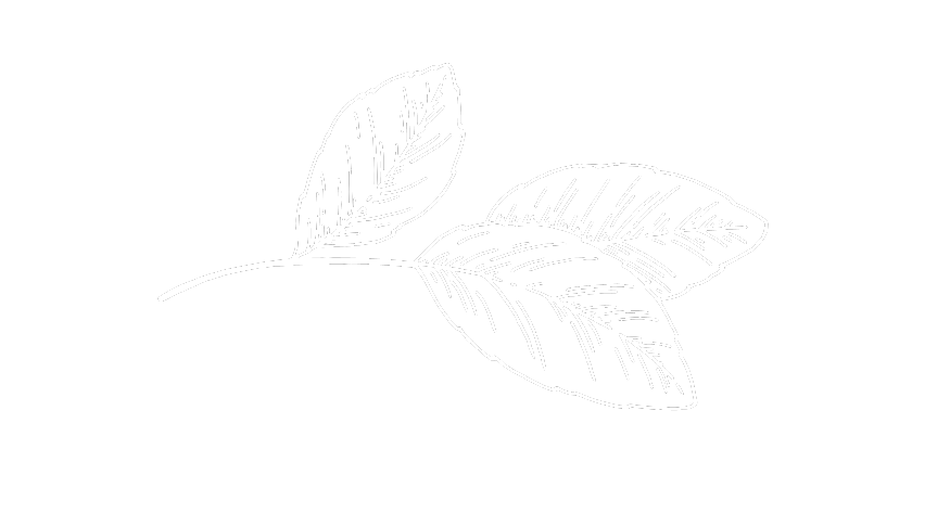 Paysagiste pour jardin à Varades